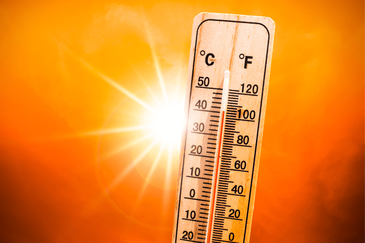 Caldo termometro