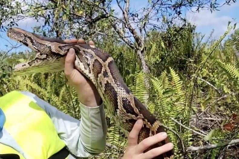 donna uccisa donna uccisa