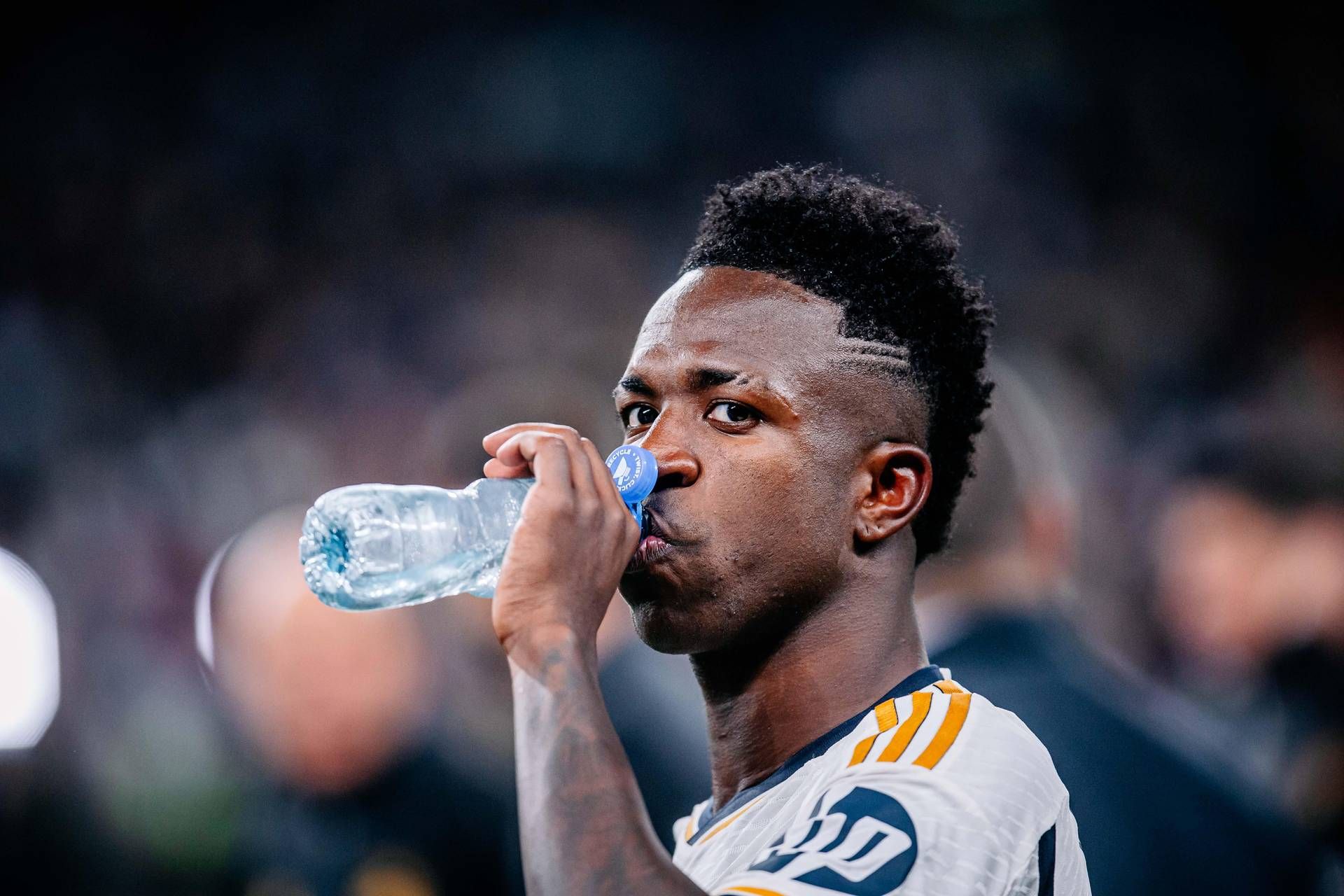 insulti razzisti insulti razzisti