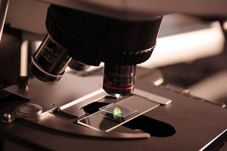 Estetica e cura della persona: l'acido ialuronico tra gli ingredienti chiave per la progettazione di prodotti innovativi