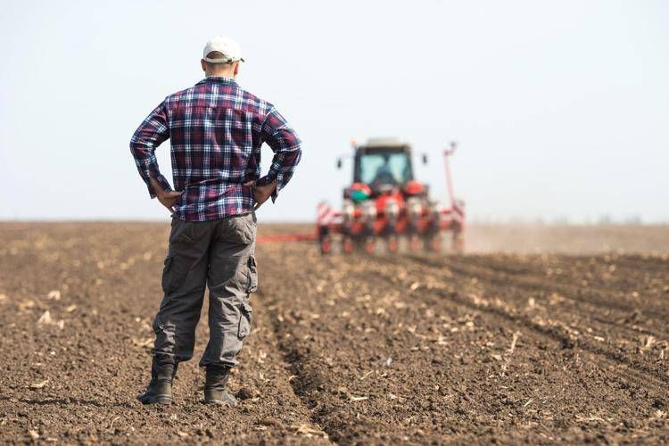 Agricoltore - Canva