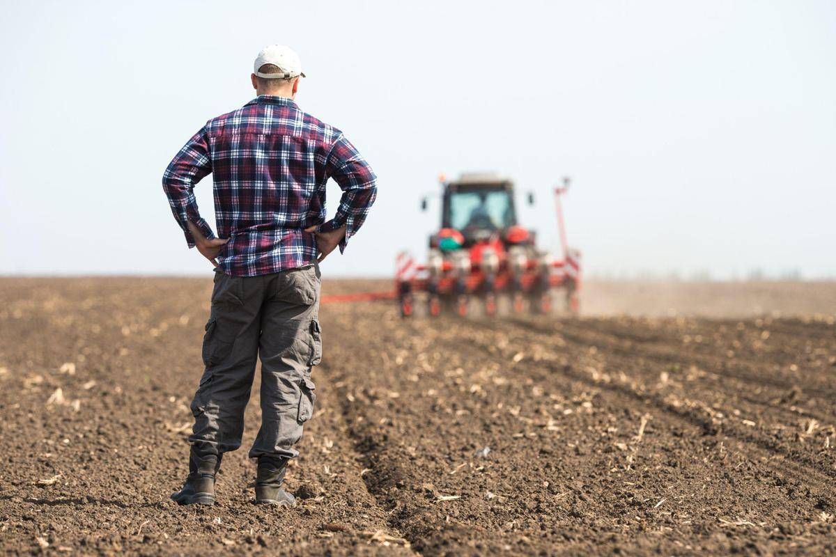 https://www.adnkronos.com/resources/028e-1b1b6ac6c89c-15d2c4958230-1000/format/huge/agricoltore_al_lavoro_canva.jpeg