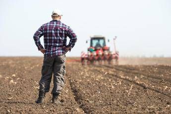 Gli offrono 700mila euro, ma un agricoltore rifiuta e non vende il suo terreno agricoltore al lavoro canva