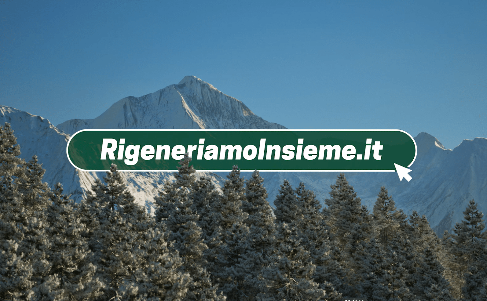 Rigeneriamo Insieme - la community per azioni a favore dell’ambiente