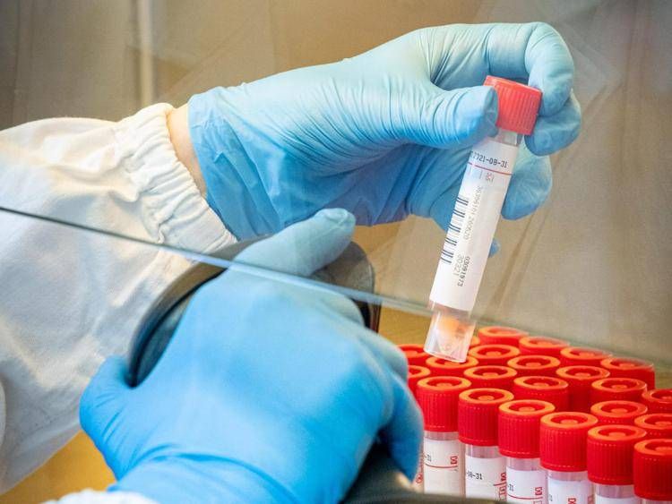 covid codacons covid codacons