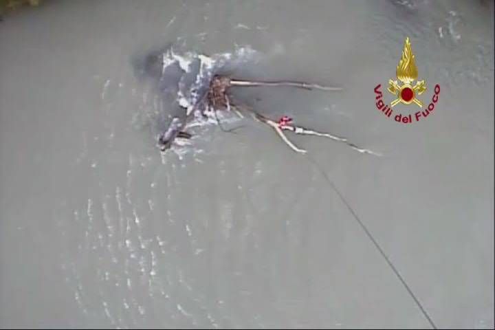 Due giovani travolti dalla corrente del fiume Brenta salvati dai Vigili del fuoco 