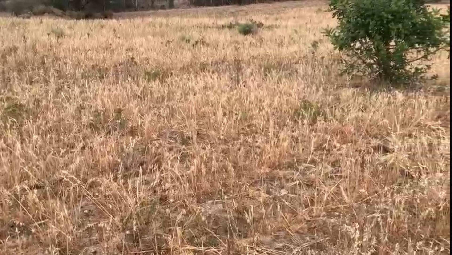“Kaybedecek vakit yok”