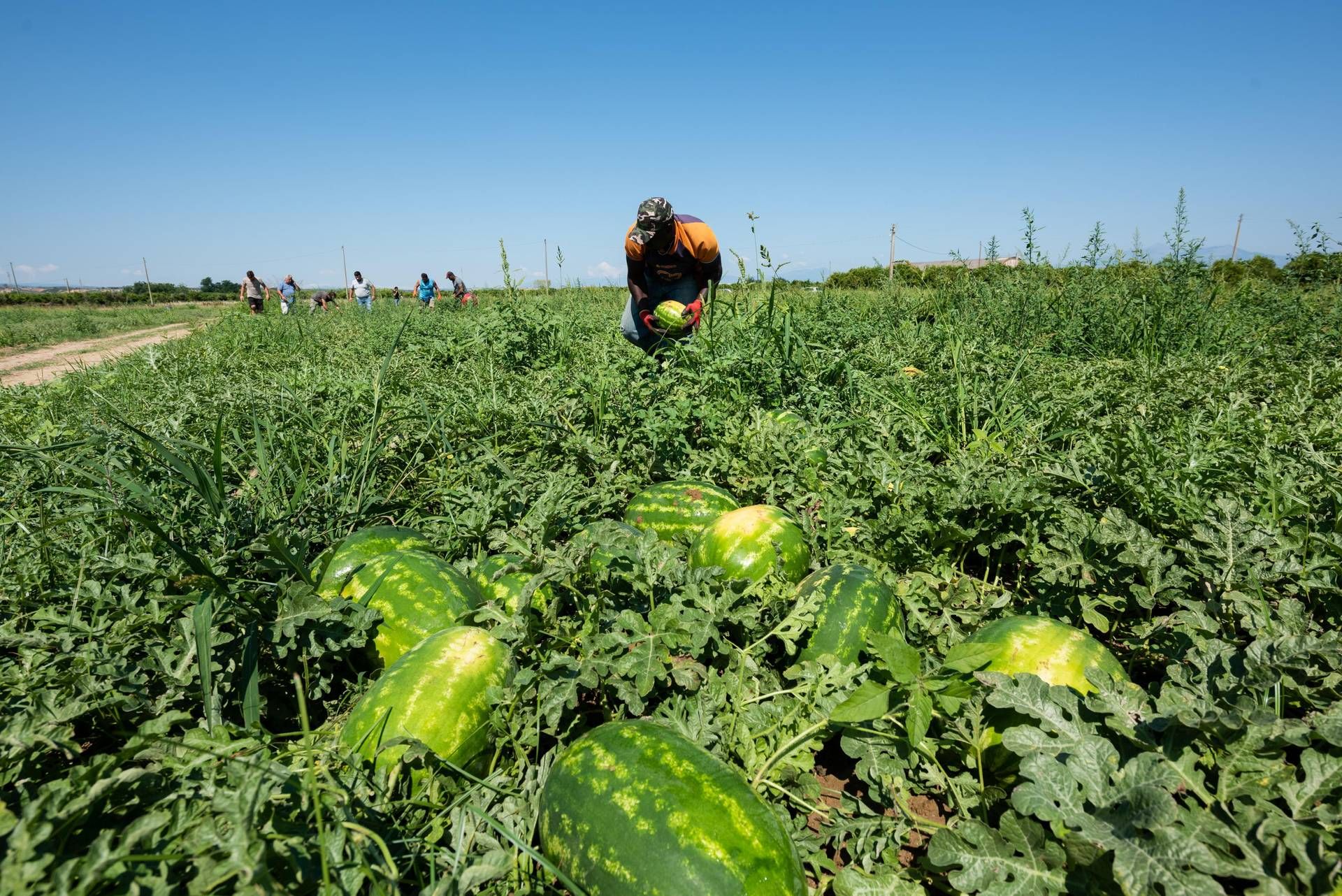 Caldo - in Calabria stop al lavoro nei campi e nei cantieri nelle ore a rischio