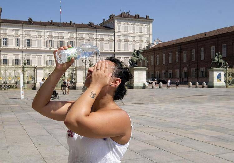 Medici ambiente: 