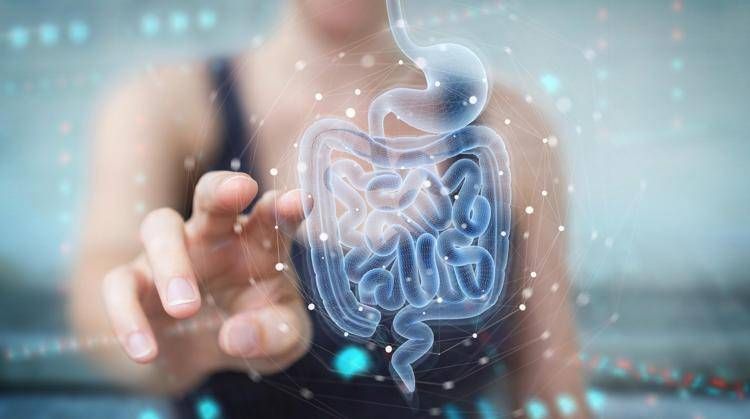 Microbiota fondamentale per il benessere, studio svela il perché