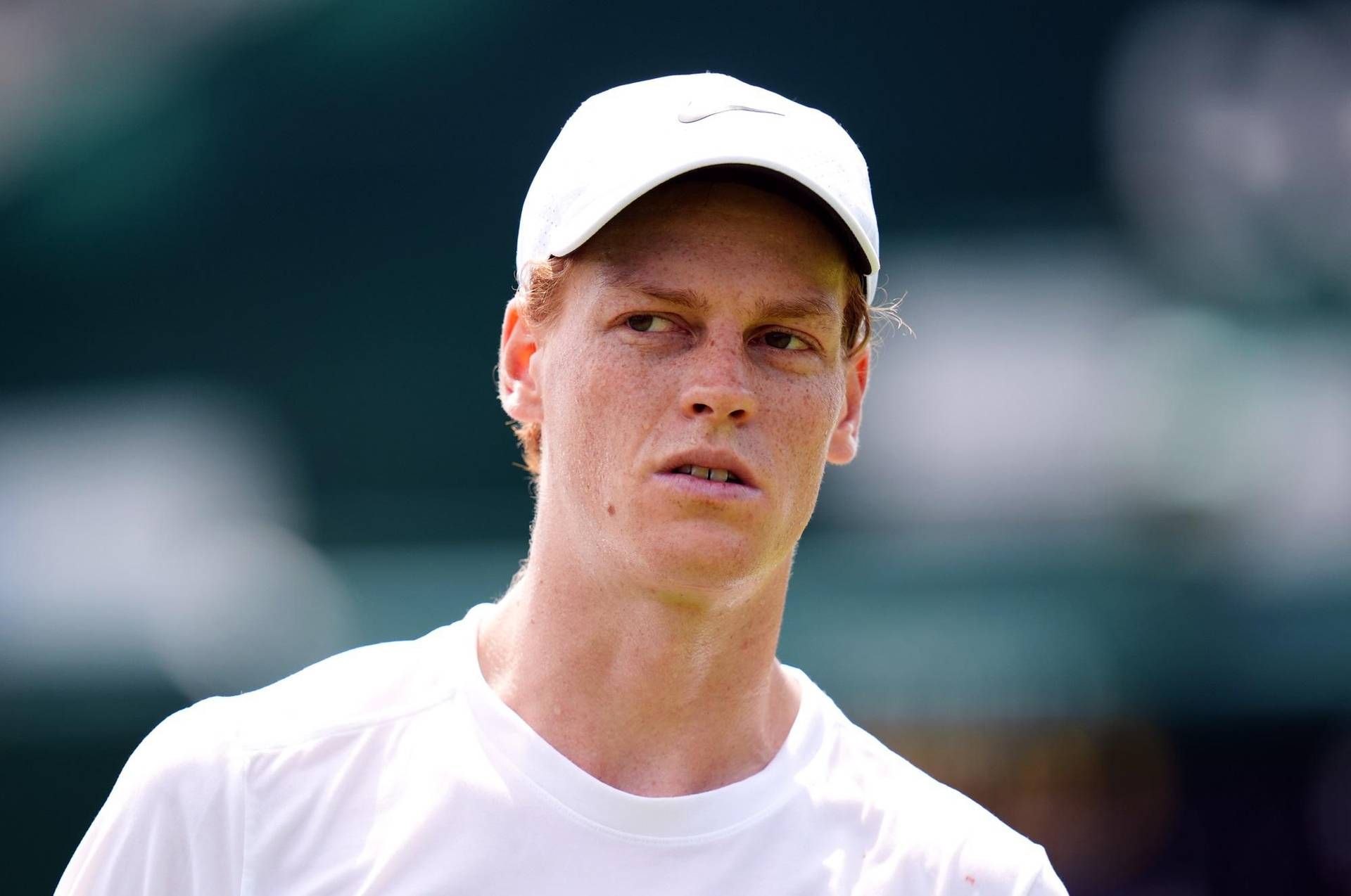 Wimbledon - Sinner in salita: sorteggio tabellone maschile