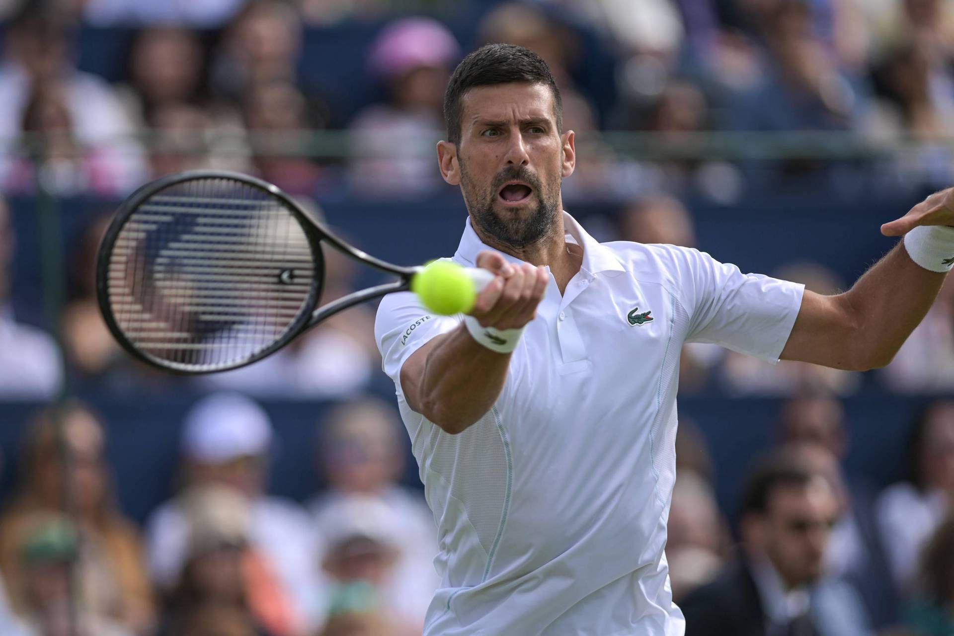 Wimbledon - Djokovic c