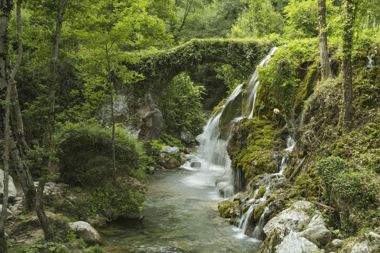 Ecocidio, Avs propone reato per chi danneggia ambiente, da 12 a 20 di reclusione