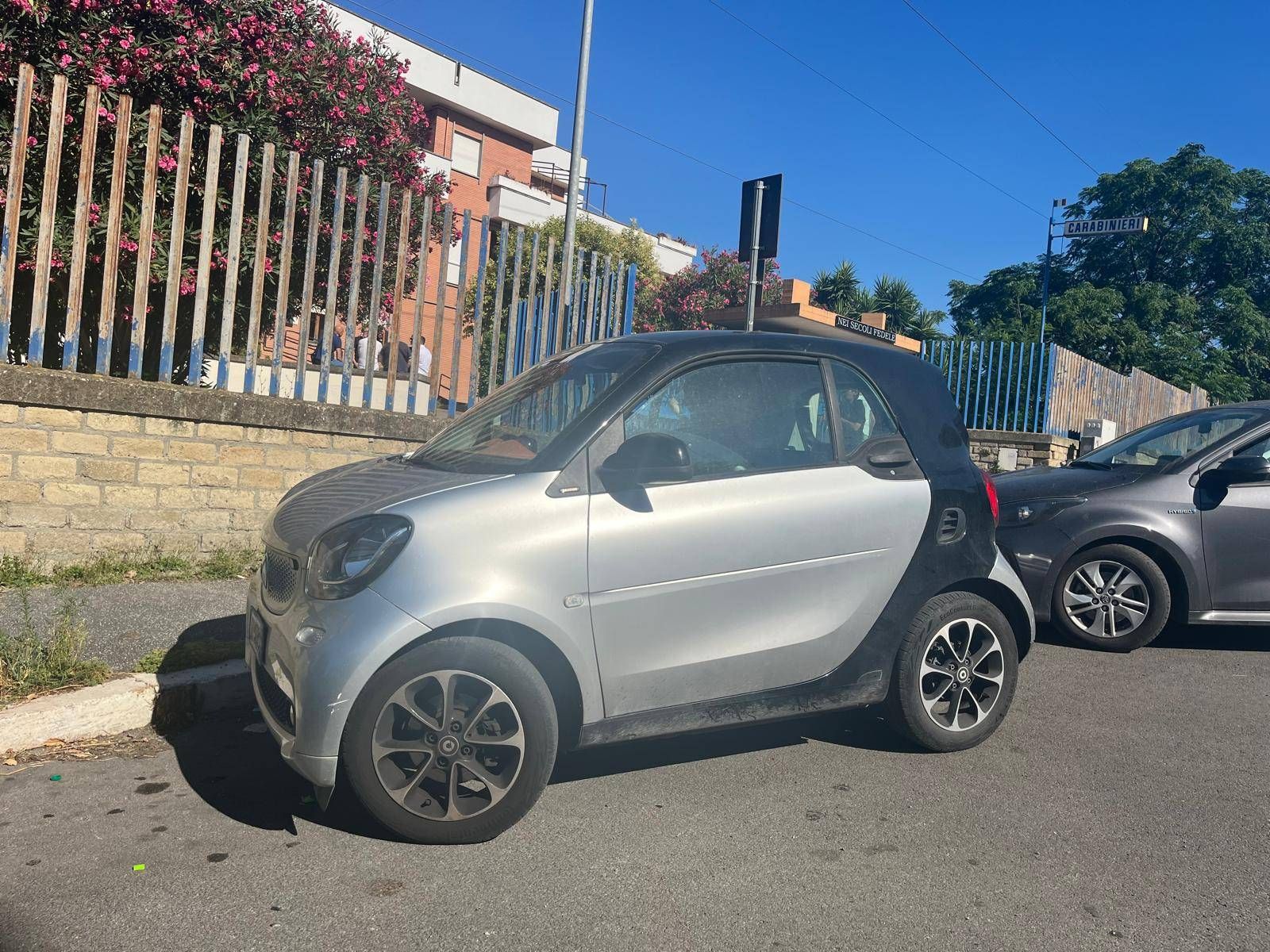 auto molinaro adn