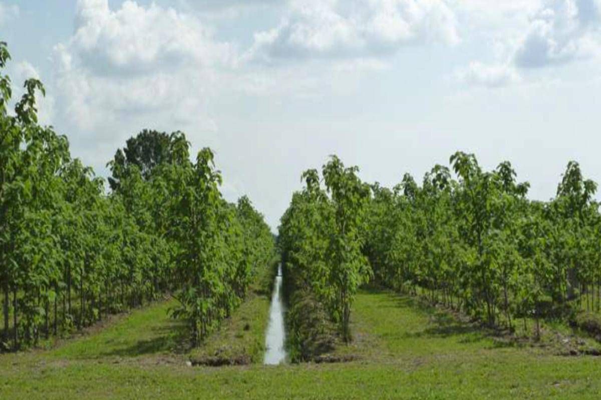 Coca-Cola Hbc Italia, progetto ricarica falde acquifere nel Veronese
