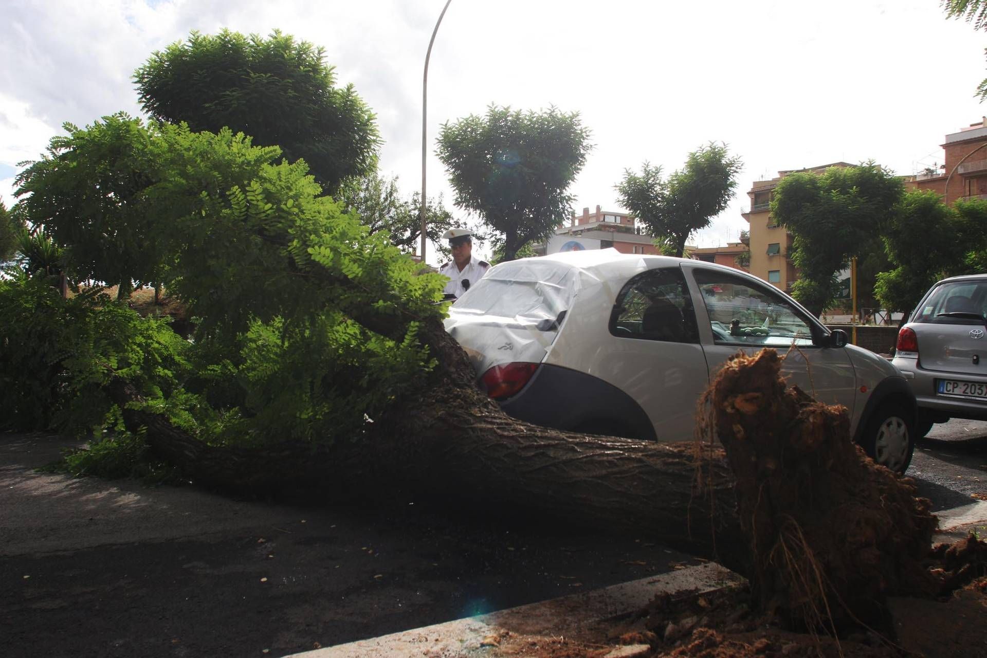 Alberi caduti a Roma - almeno due indagati tra dirigenti Comune