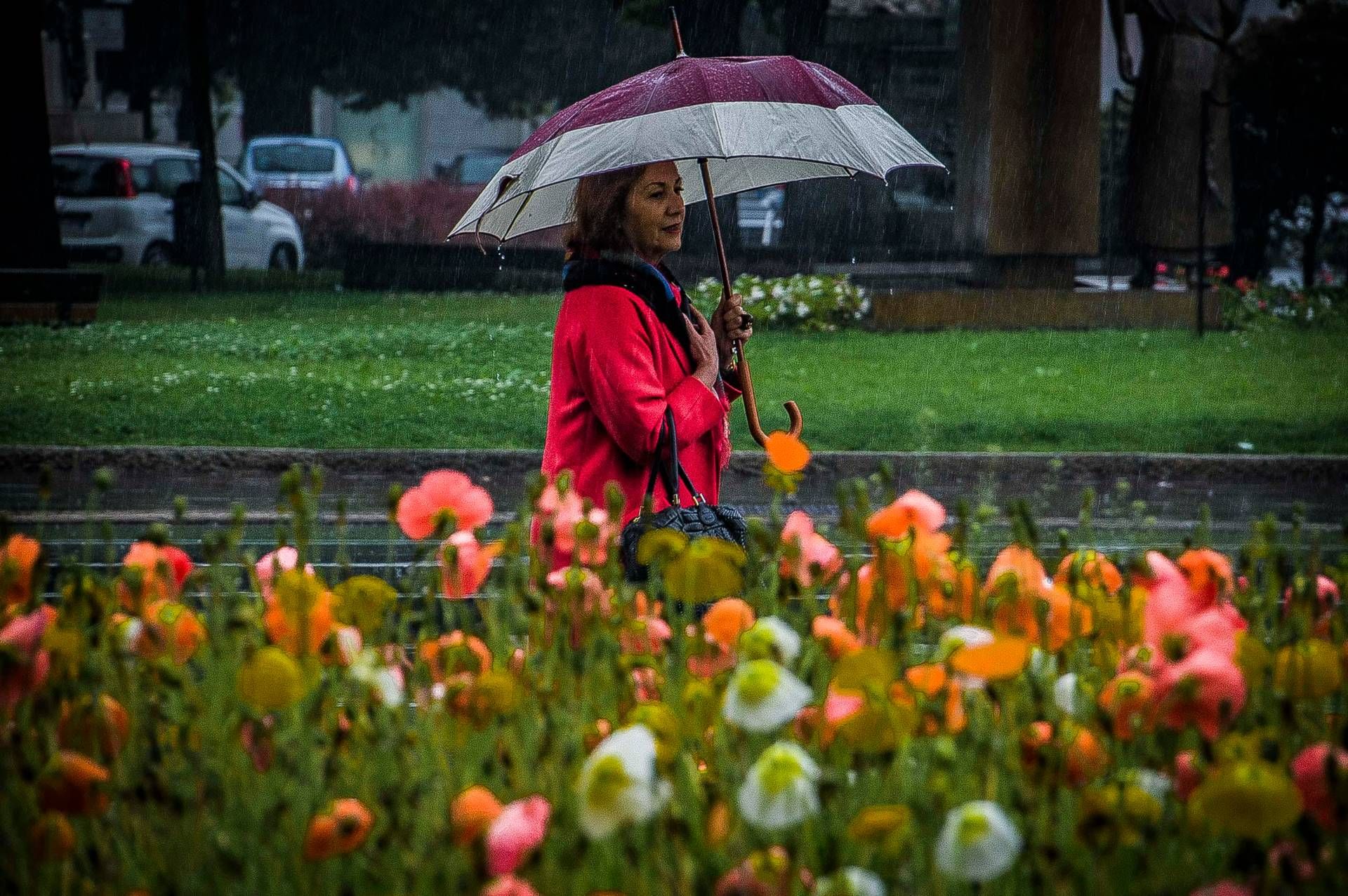 Allerta meteo arancione domani in Lombardia e Alto Adige - arrivano piogge e temporali