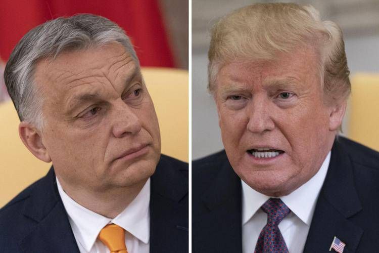 Viktor Orban e Donald Trump  - Fotogramma /Ipa
