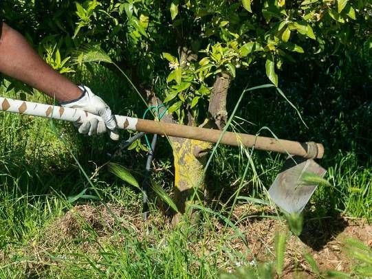 Caporalato - scoperti 33 lavoratori ridotti in schiavitù in provincia di Verona