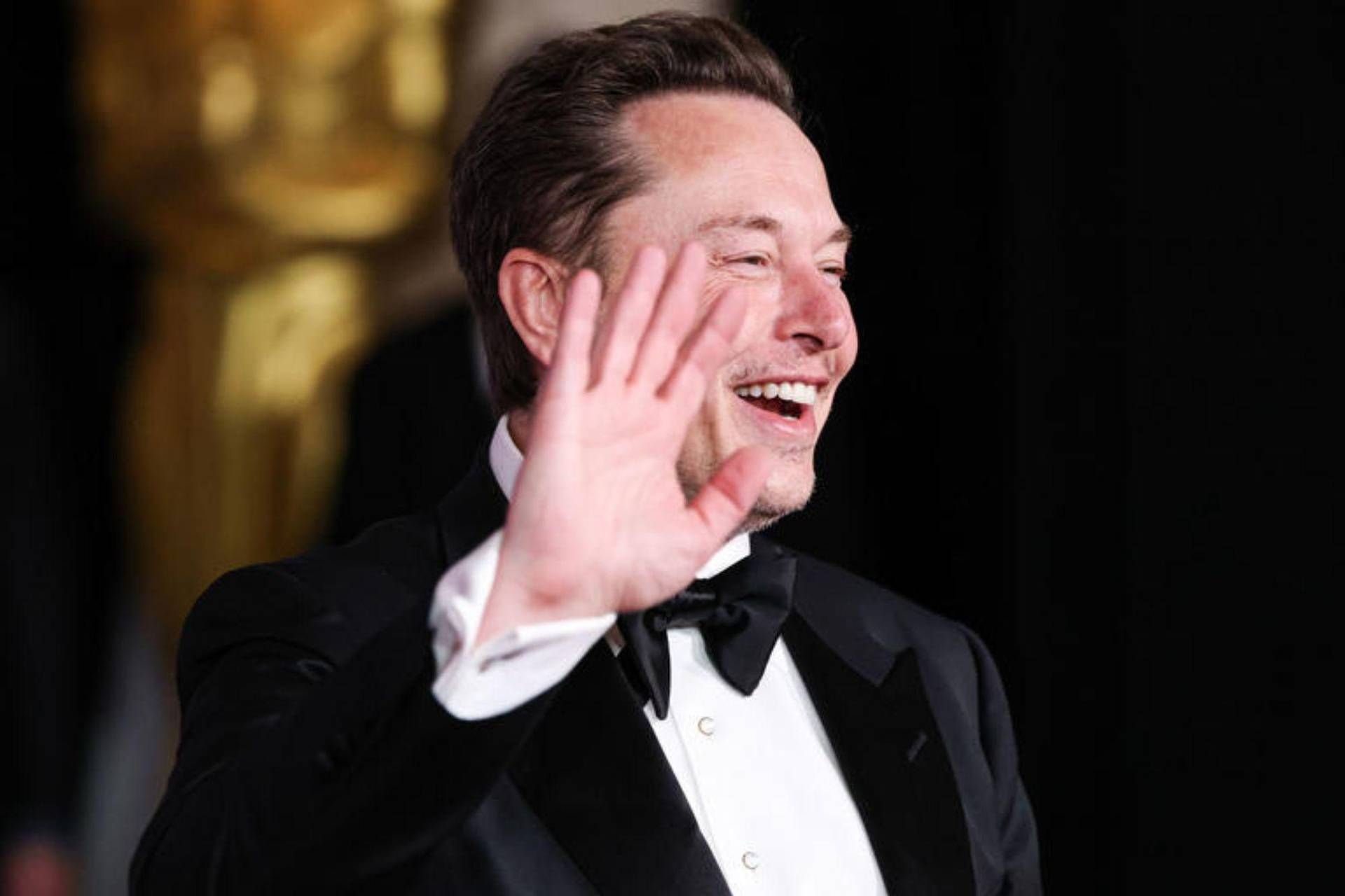 elon musk elon musk