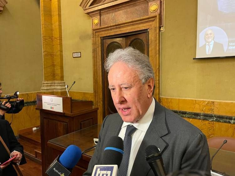 lorito (unina) lorito (unina)