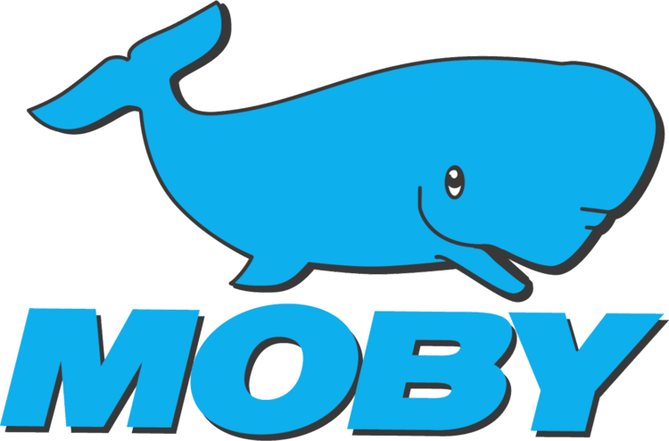 Moby, entro prossima settimana ripristino Santa Teresa - Bonifacio