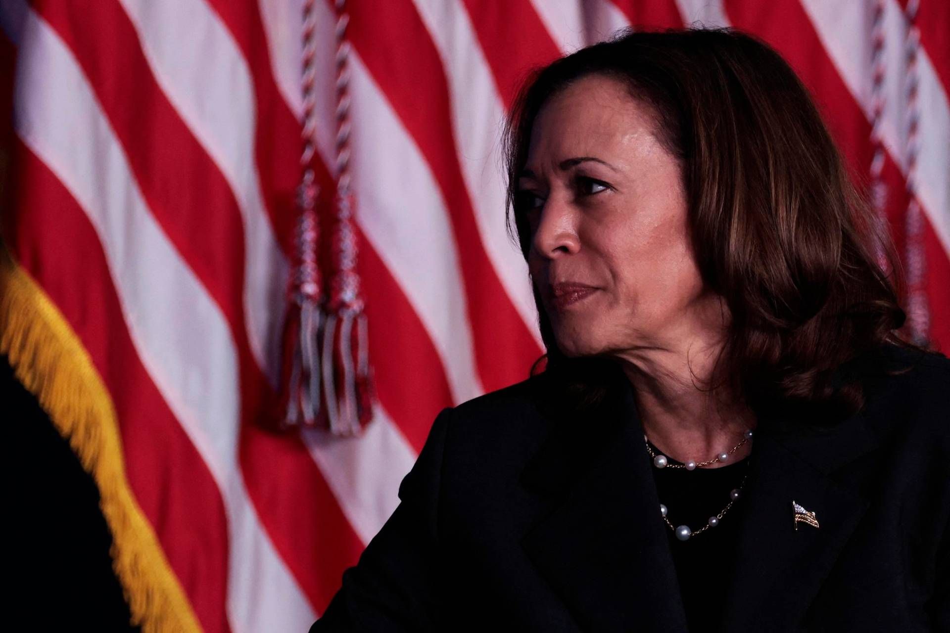 Biden-Harris - il passaggio di testimone non è scontato: cosa può succedere