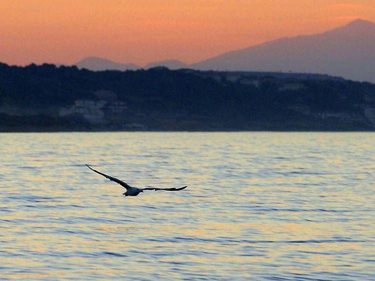 Mare al tramonto (Fotogramma/Ipa)