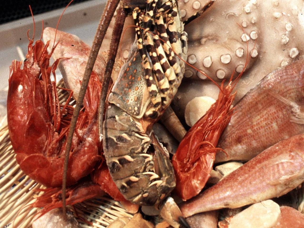 Morta dopo una cena a base di pesce - domani l