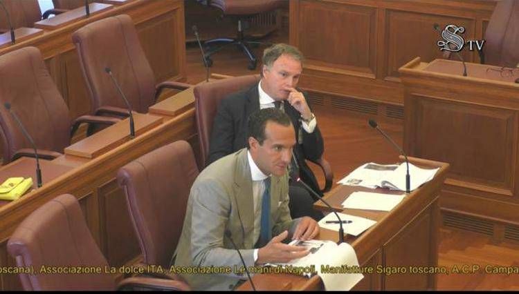 Audizione Presidente La Dolce ITA - Davide Scarparo -  alla 9a Commissione del Senato