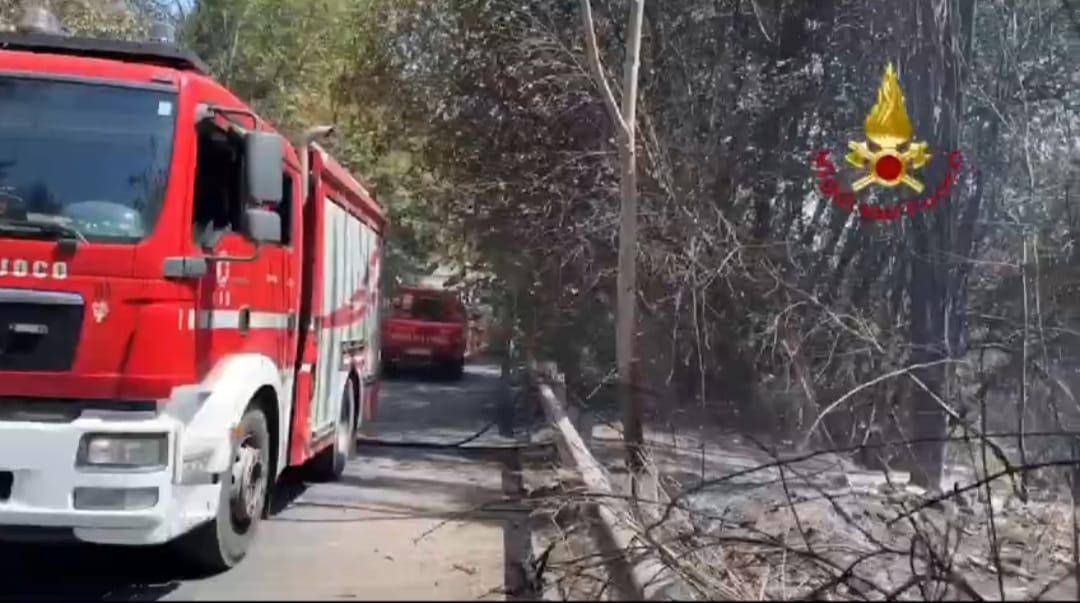 Roma - vasto incendio di sterpaglie a Castelnuovo di Porto: evacuate abitazioni