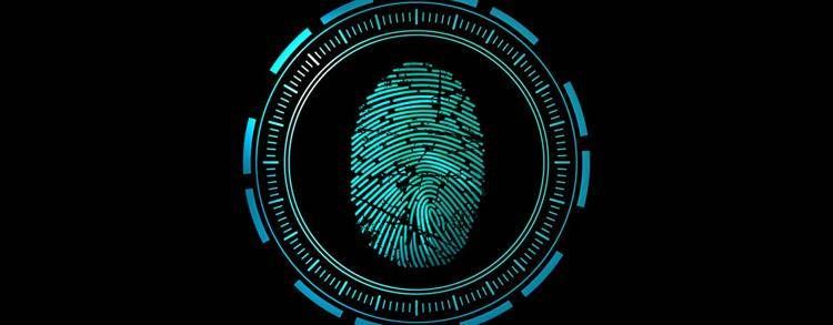 Cybersicurezza: i principi fondamentali per un equilibrio tra obiettivi nazionali e impegni per le imprese