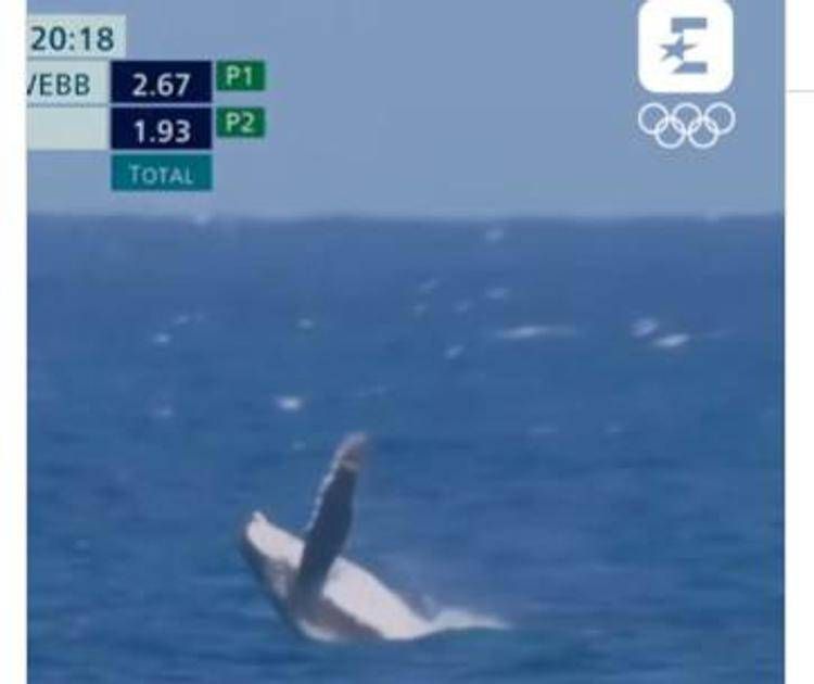 Il salto della balena durante la finale di surf a Parigi 2024