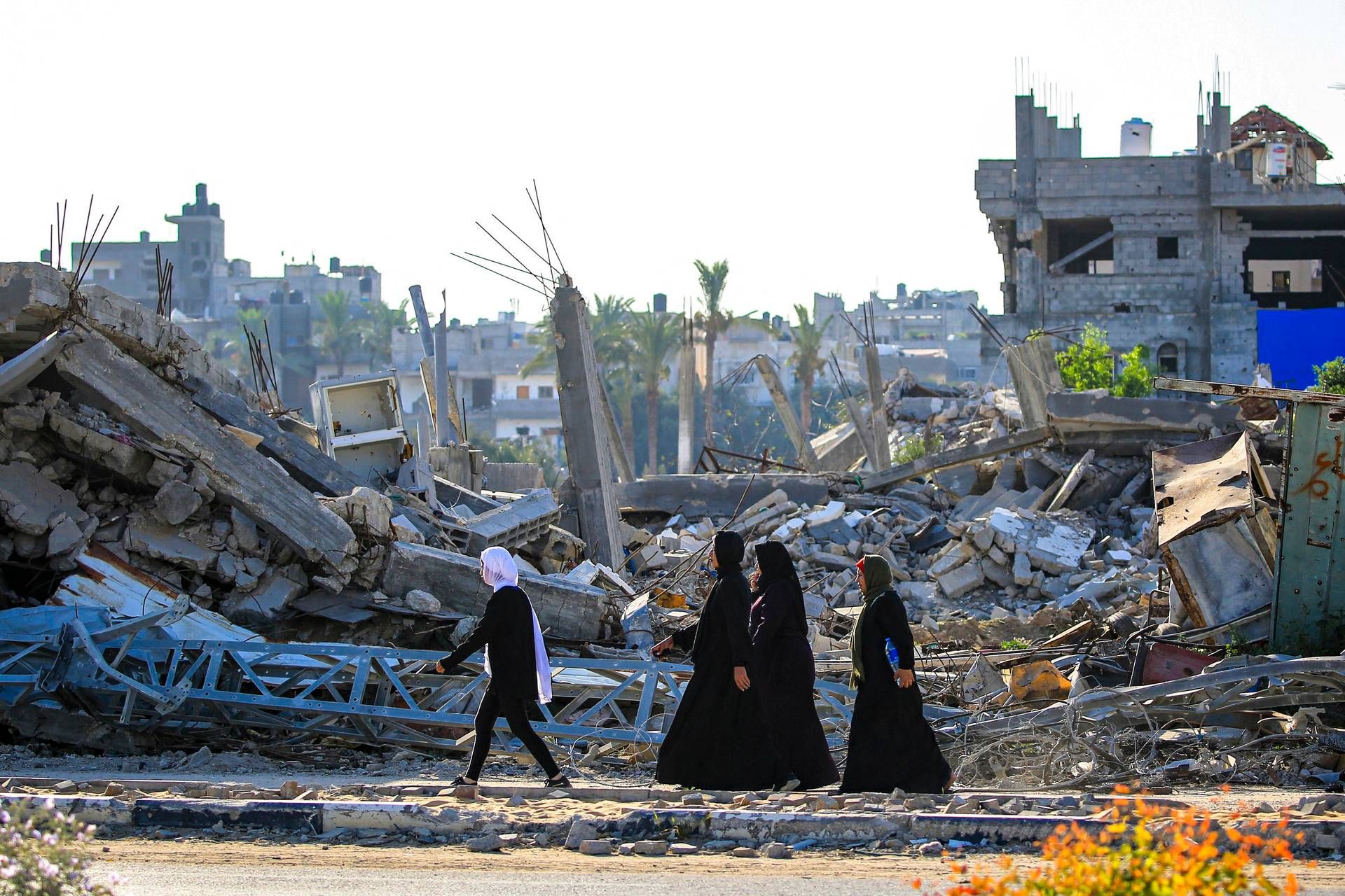 gaza monito gaza monito