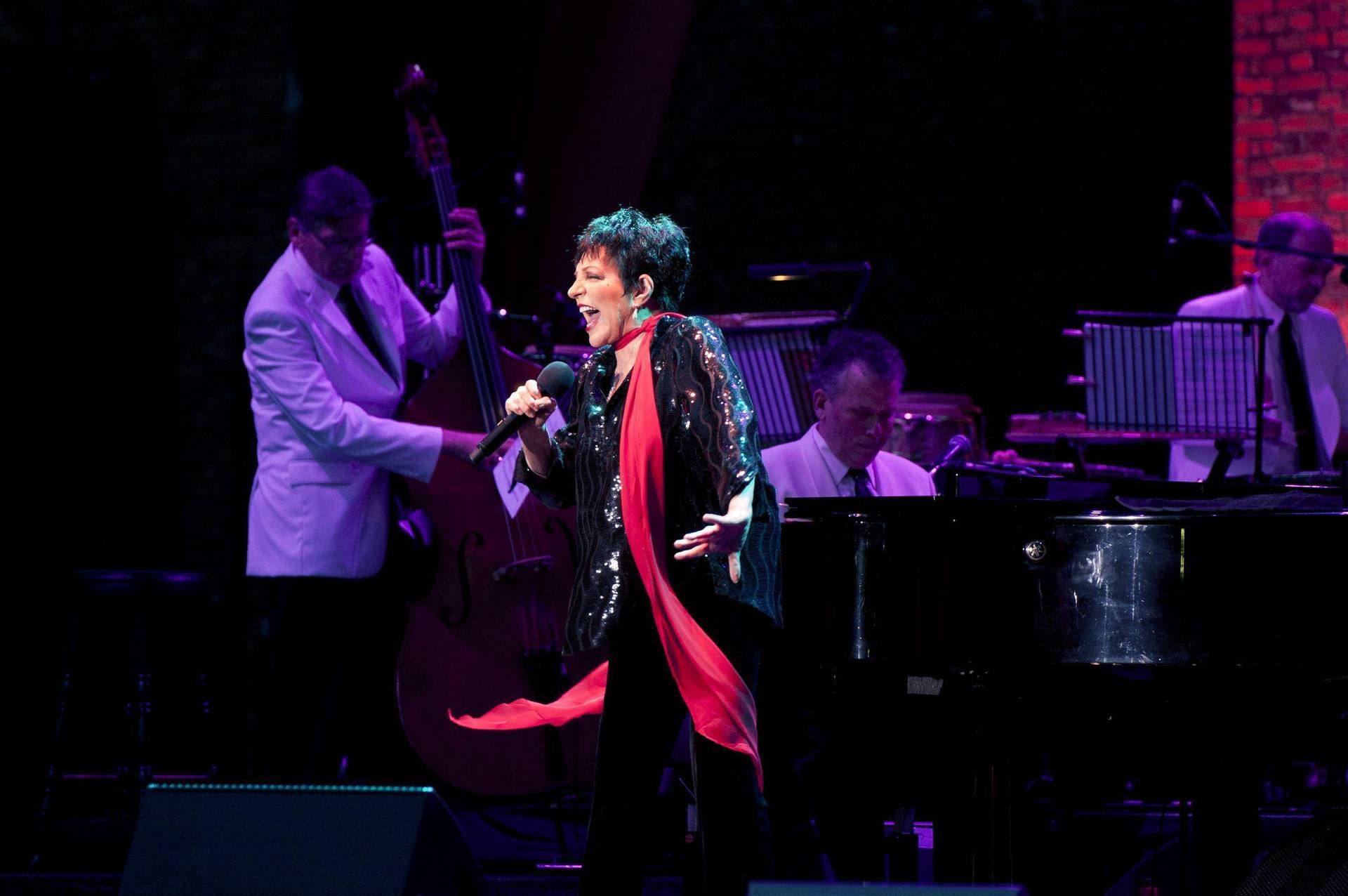 liza minnelli liza minnelli