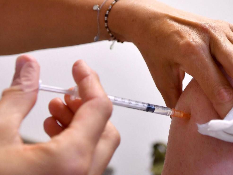 vaiolo scimmie vaiolo scimmie