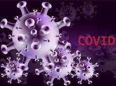 Il virus Covid -