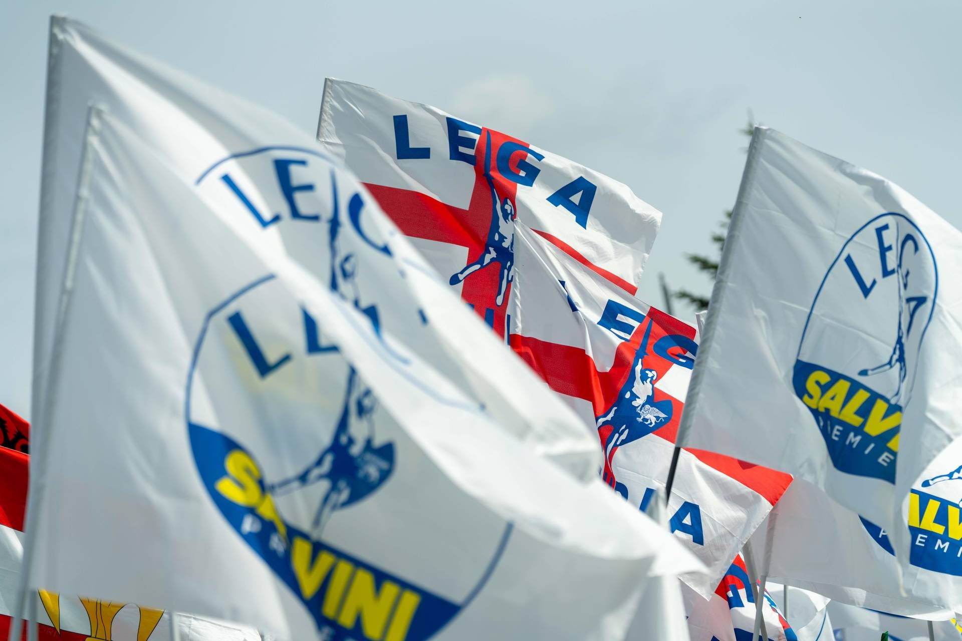 lega avviata lega avviata