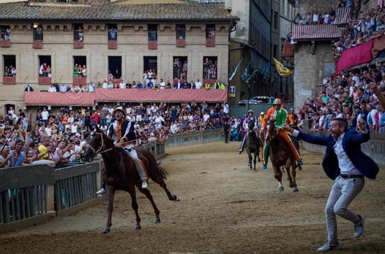 Palio di Siena 17 agosto, Lupa vince e si aggiudica il Drappellone dell'Assunta Palio di Siena 17 agosto, Lupa vince e si aggiudica il Drappellone dell'Assunta