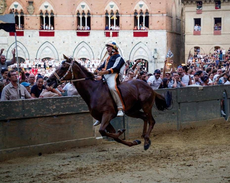 Palio di Siena - trionfo Lupa: chi è Velluto - il fantino che ha vinto