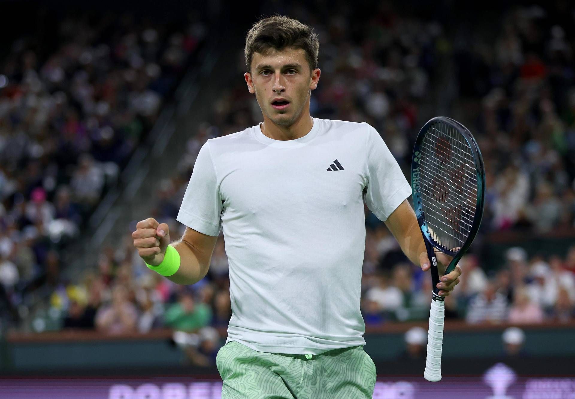 open nardi open nardi