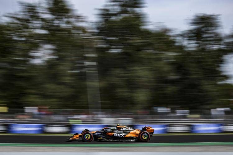 Lando Norris (Fotogramma)