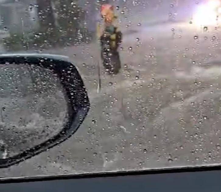 Bloccato in auto dal nubifragio - salvato con una corda 