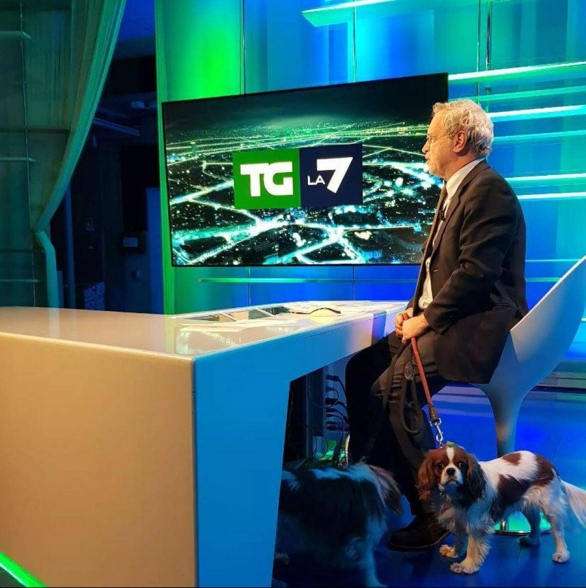 solo maria solo maria