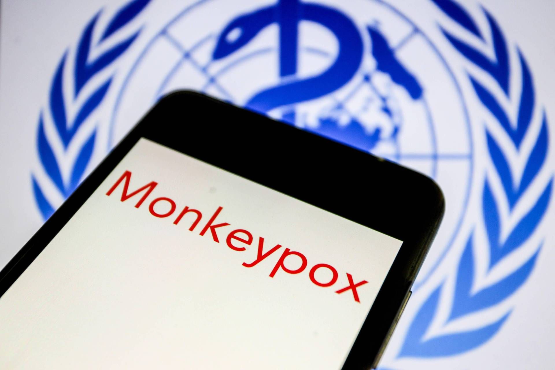 vaiolo scimmie vaiolo scimmie