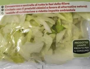 listeria insalata listeria insalata