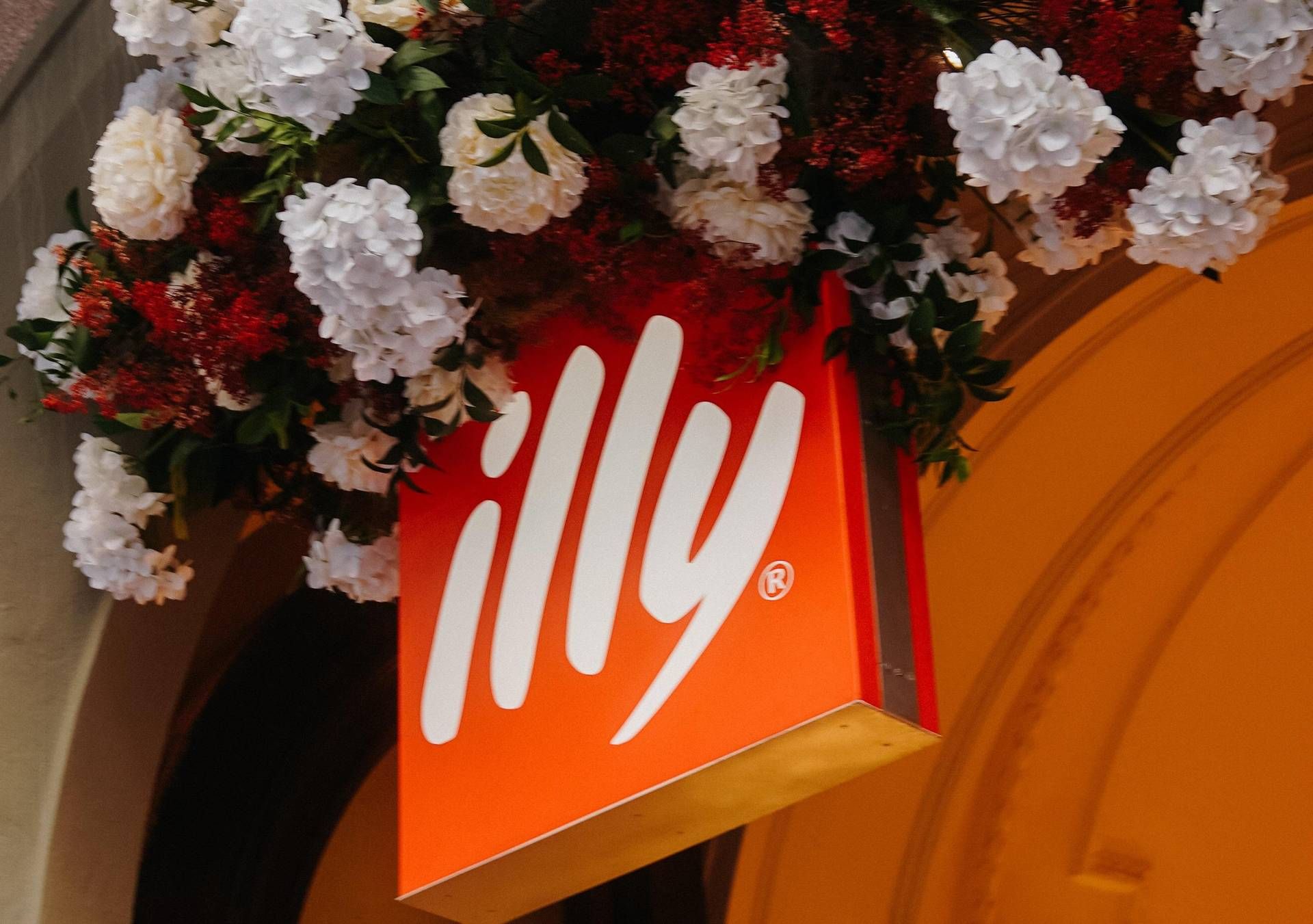 bruno (illy) bruno (illy)