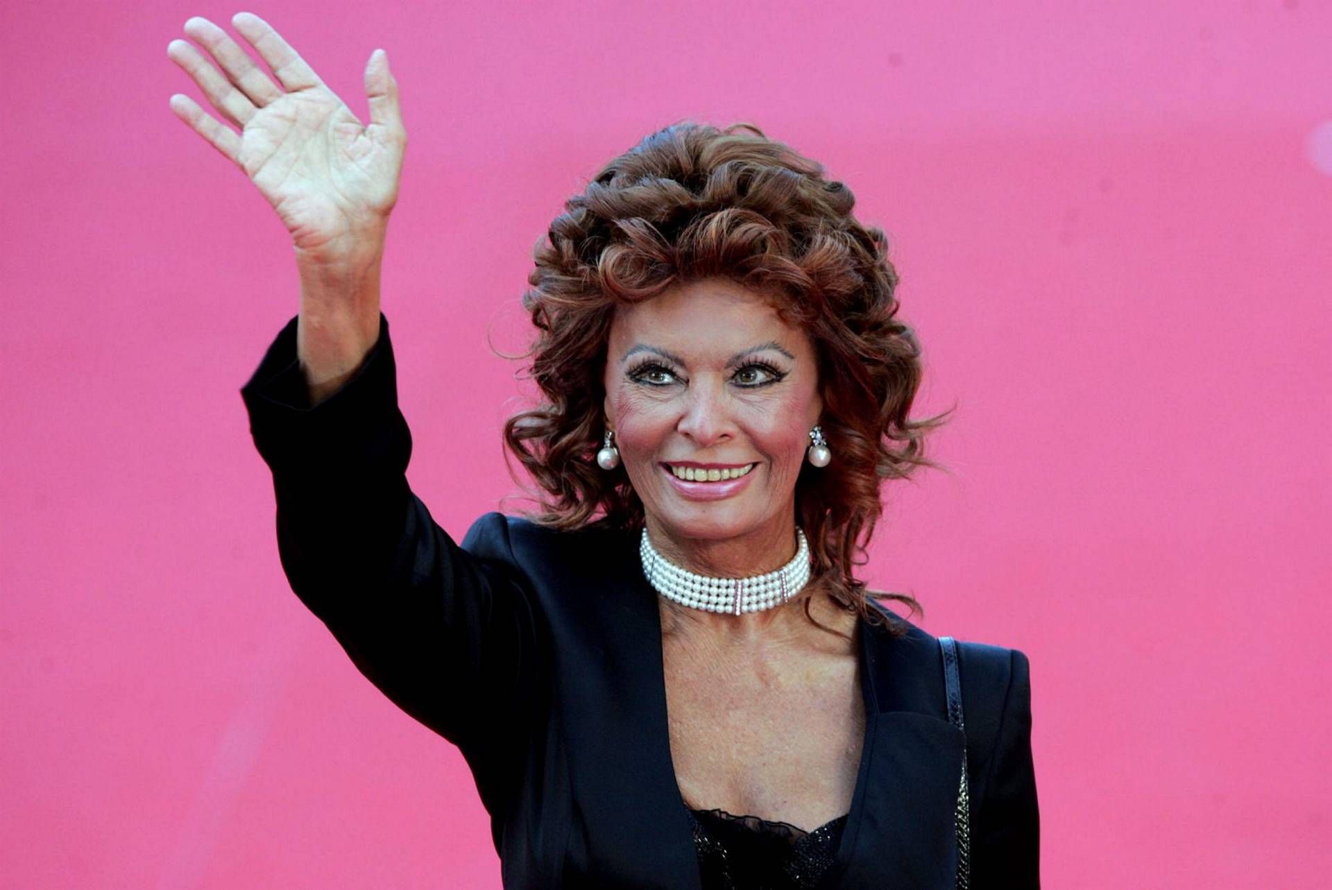 sophia loren sophia loren