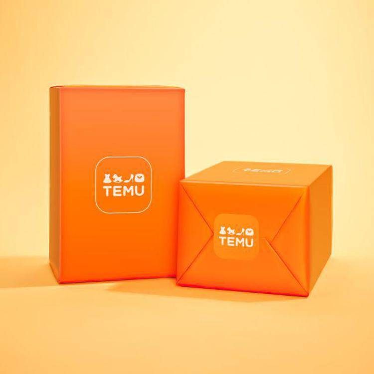 Temu package
