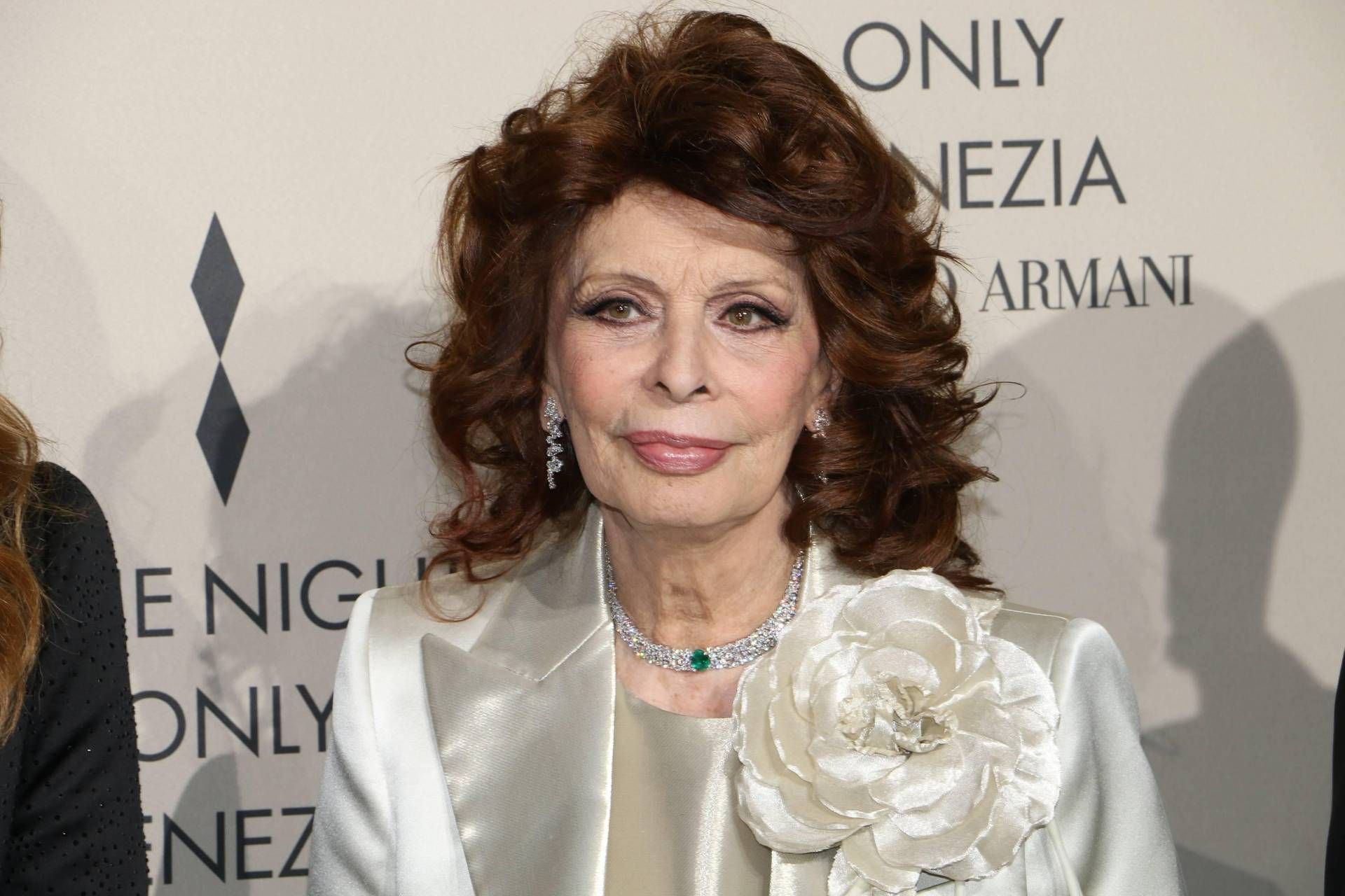 sophia loren sophia loren